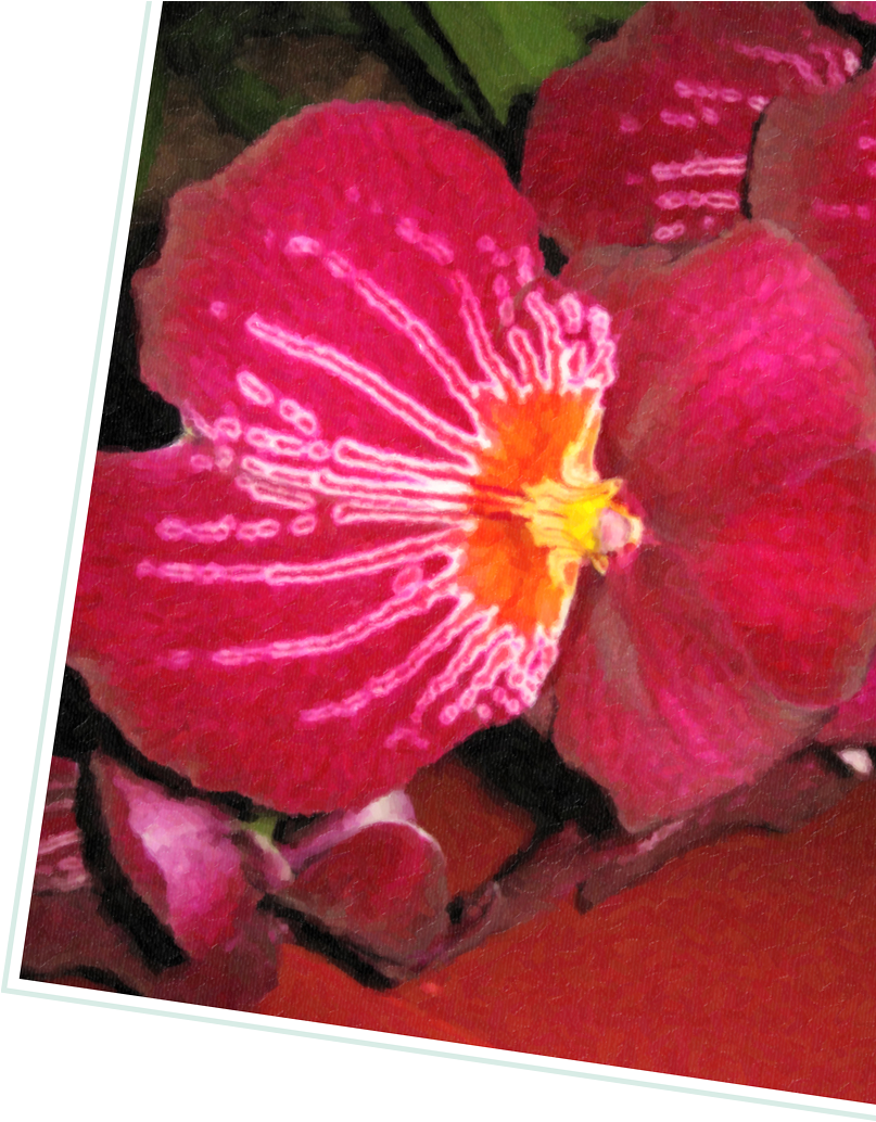 New York City (1082x1082), Png Download