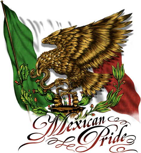 Drawn Falcon Mexico Flag Eagle - Bald Eagle Mexican Flag (486x525), Png Download