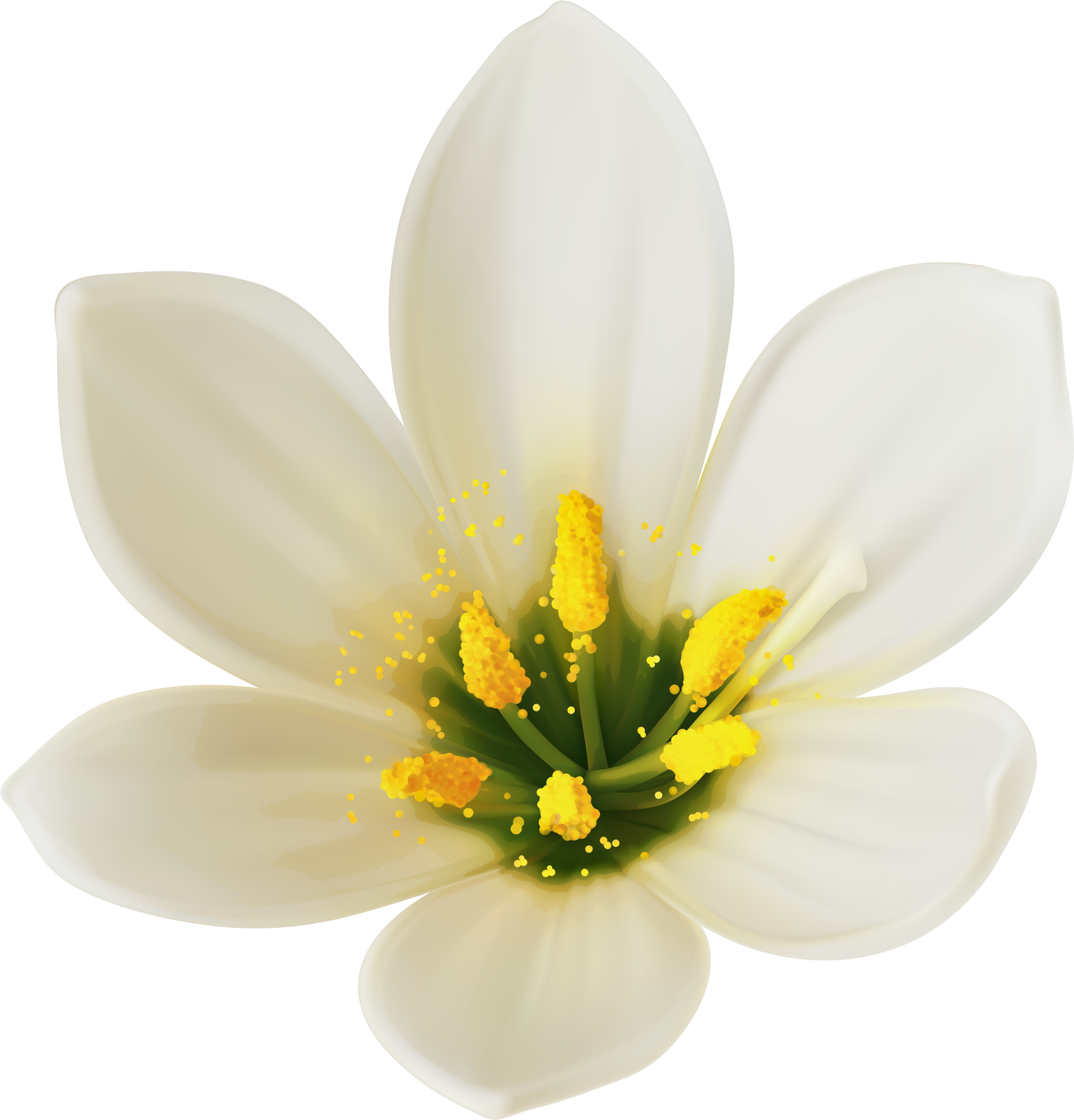 White Flower Png Clipart Image (5877x6098), Png Download