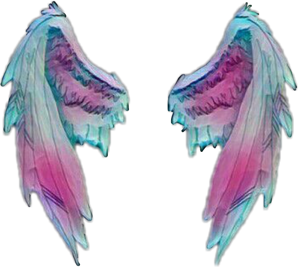 #wings #tumblr #fly #freetoedit#remixit Picsart, Wings, - Wings Pngs For Picsart (608x545), Png Download