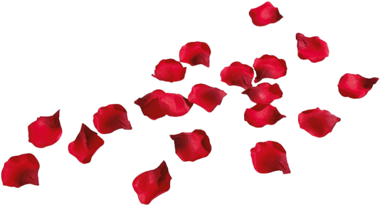 Share This Image - Rose Petals Png Transparent (750x600), Png Download