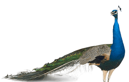 Get 10% Off Tickets Online - Big Ego Trip [book] (522x301), Png Download