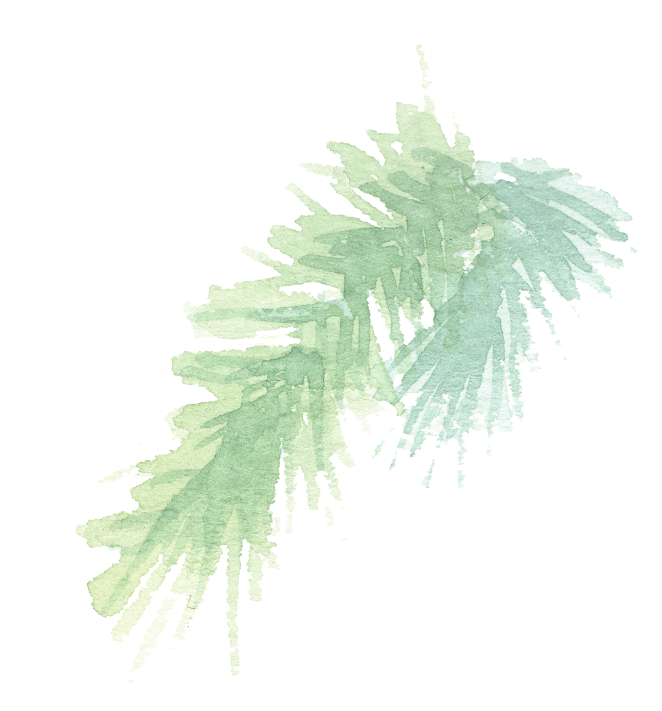 Hand Painted Two Branches Watercolor Transparent - Watercolor Painting (1024x1063), Png Download