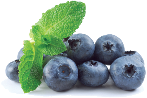 Blueberry Transparent Png - Lorann Blueberry Flavoring 1 Dram (510x351), Png Download