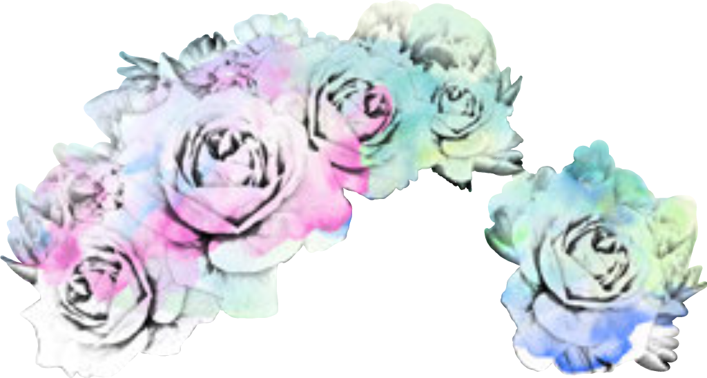 Report Abuse - Garden Roses (1024x547), Png Download