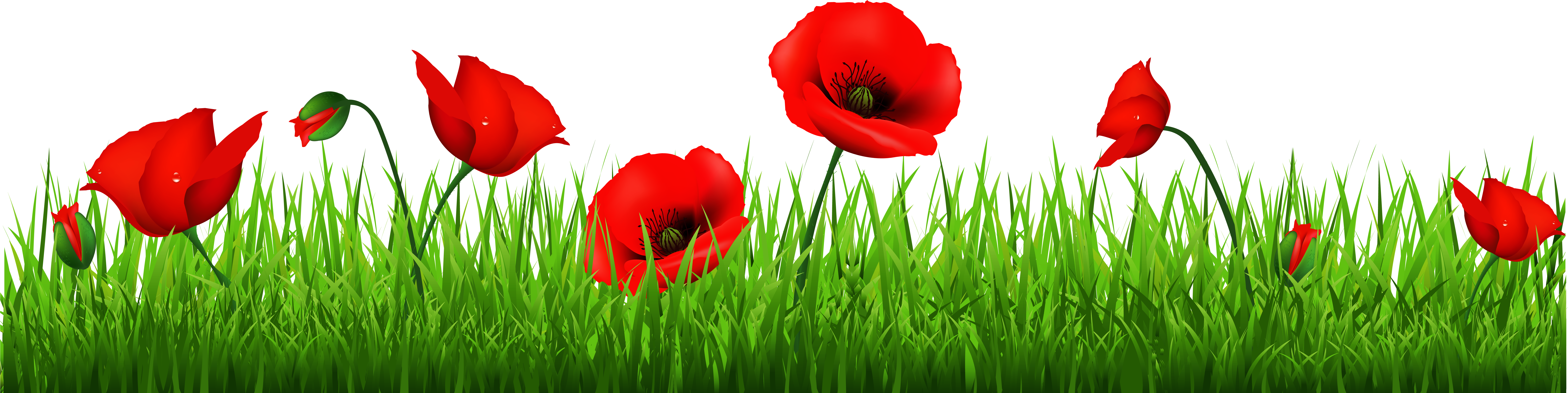 Grass With Flowers And Bee Png Clipart (9000x2519), Png Download