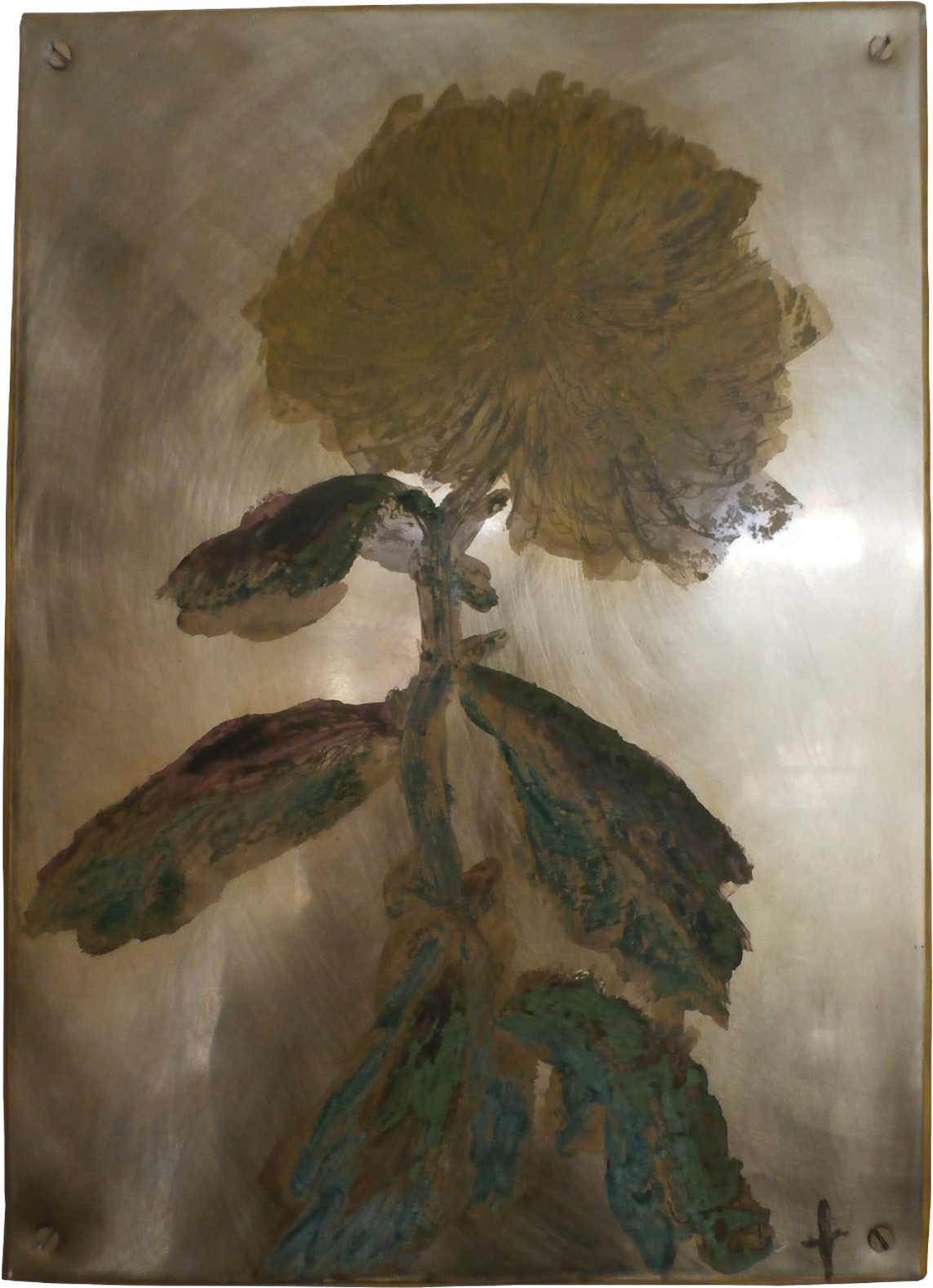 The Well Travelled Chrysanthemum Oil On Brass, - Watercolor Painting (1800x1800), Png Download