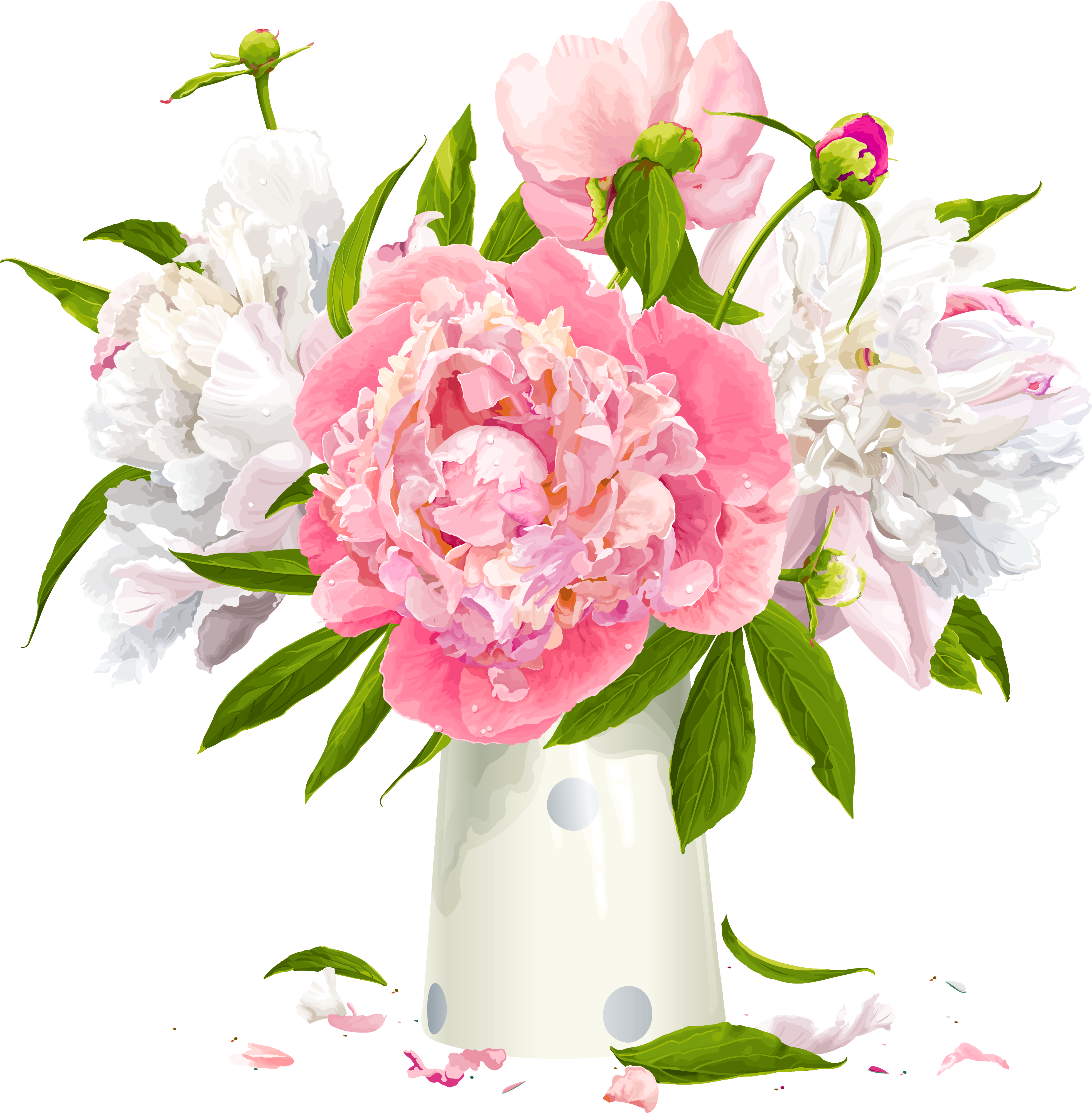 Vase With White And Pink Peonies Clipart - Peonies Clip Art Free (4184x4306), Png Download