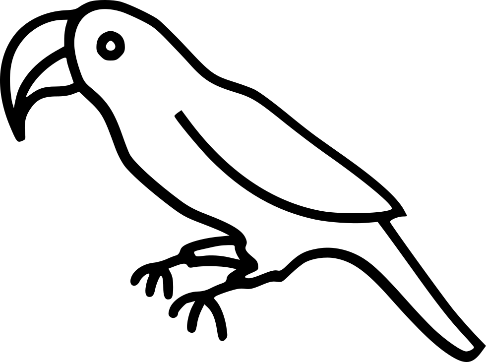Parrot Comments - Parrot Png Black And White (980x730), Png Download