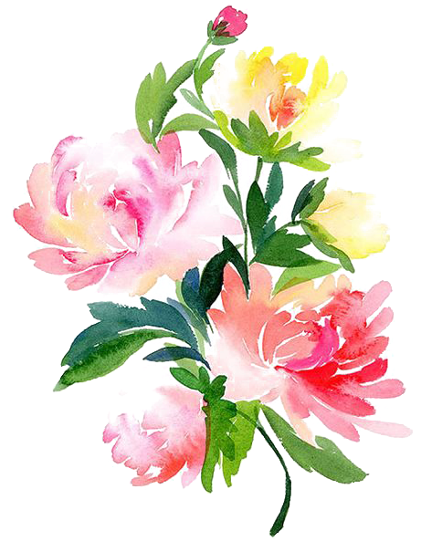 Flowers Watercolour Flowers Flowers In Watercolour - Acuarela Flores De Pintura (564x729), Png Download