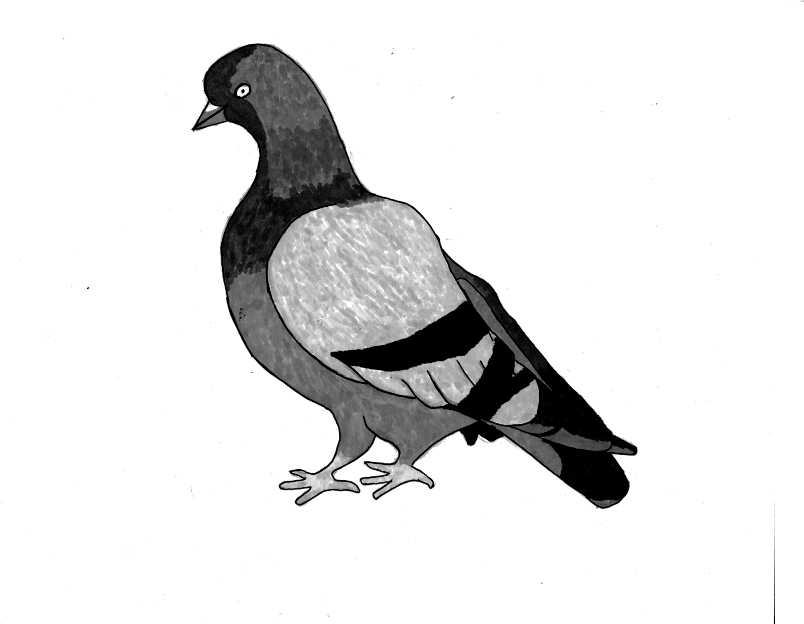 My Contributions On The Summer Of 2014 Mural Project - Bird (1600x1237), Png Download