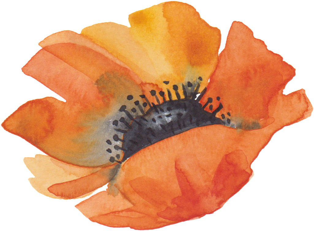 This Graphics Is Orange Flower Heart Cartoon Transparent - Watercolor Painting (1024x752), Png Download