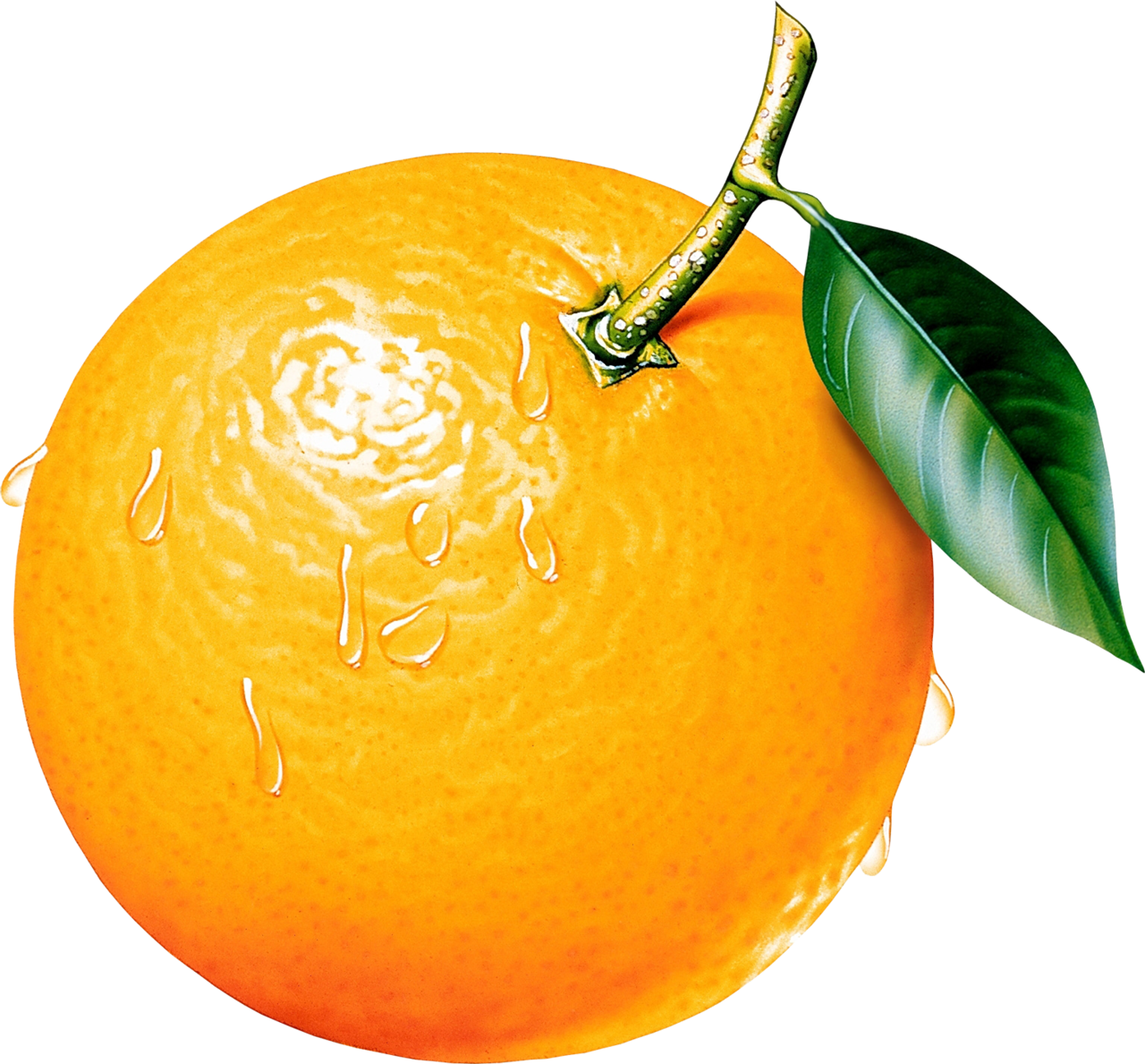 Фото, Автор Evitaa1969 На Яндекс - Orange Clipart (1280x1189), Png Download