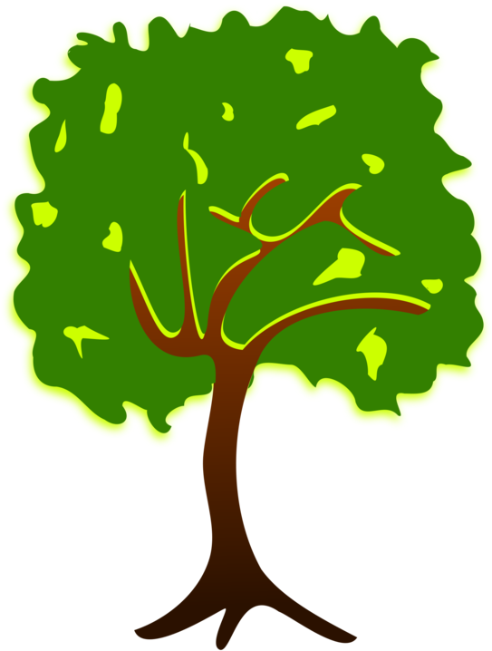 Branch Tree Drawing Plant Nature Story Free Commercial - Tall Tree Png Clipart (750x750), Png Download
