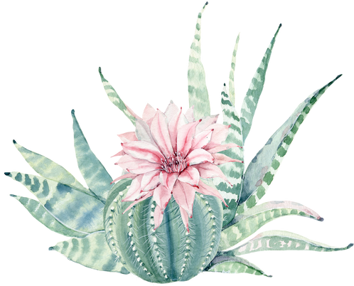 $ - Cactus Wall Art Succulent (498x402), Png Download