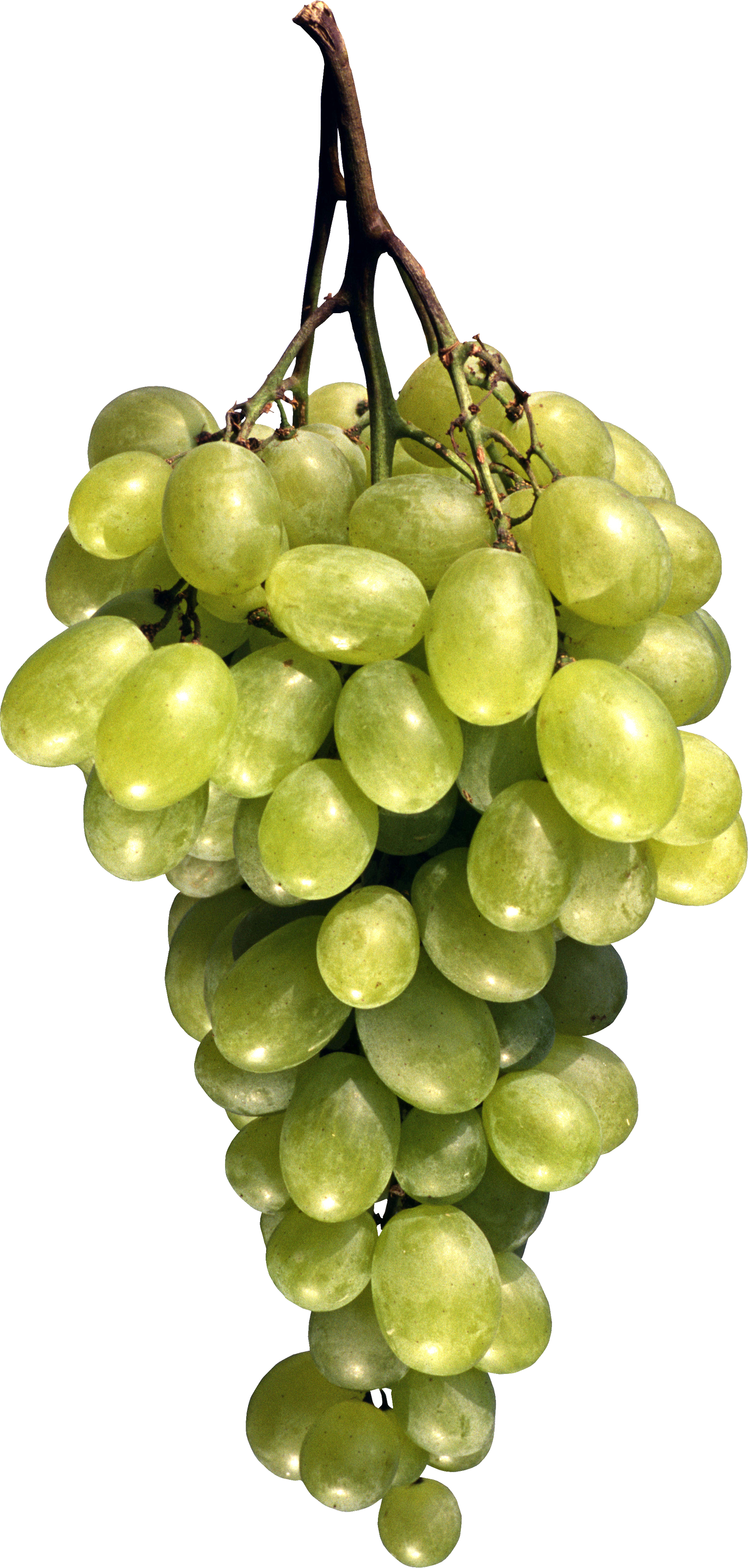 Grape Png Image Download, Free Picture - Fruit Png (1526x3200), Png Download