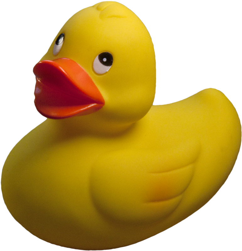 Slow Death By Rubber Duck - Rubber Duck Transparent Background (771x800), Png Download