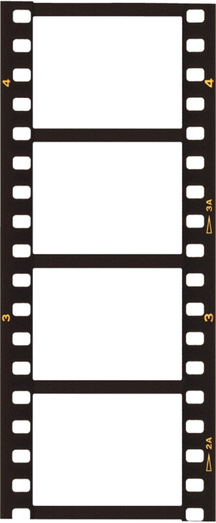 Filmstrip High Quality Png - Vertical Film Strip Png (424x1024), Png Download