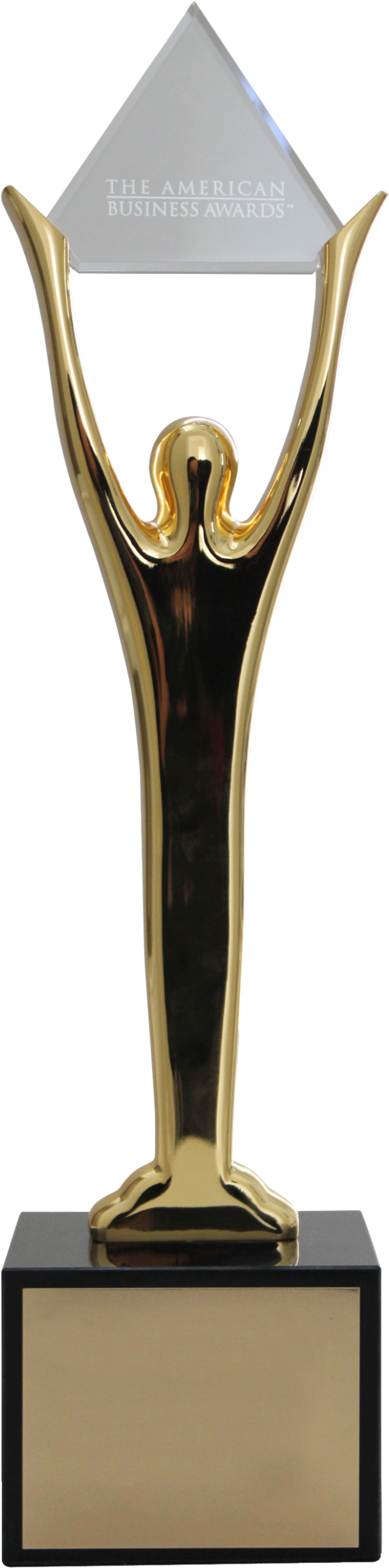 Stevie Award Blank - Award (1500x2916), Png Download