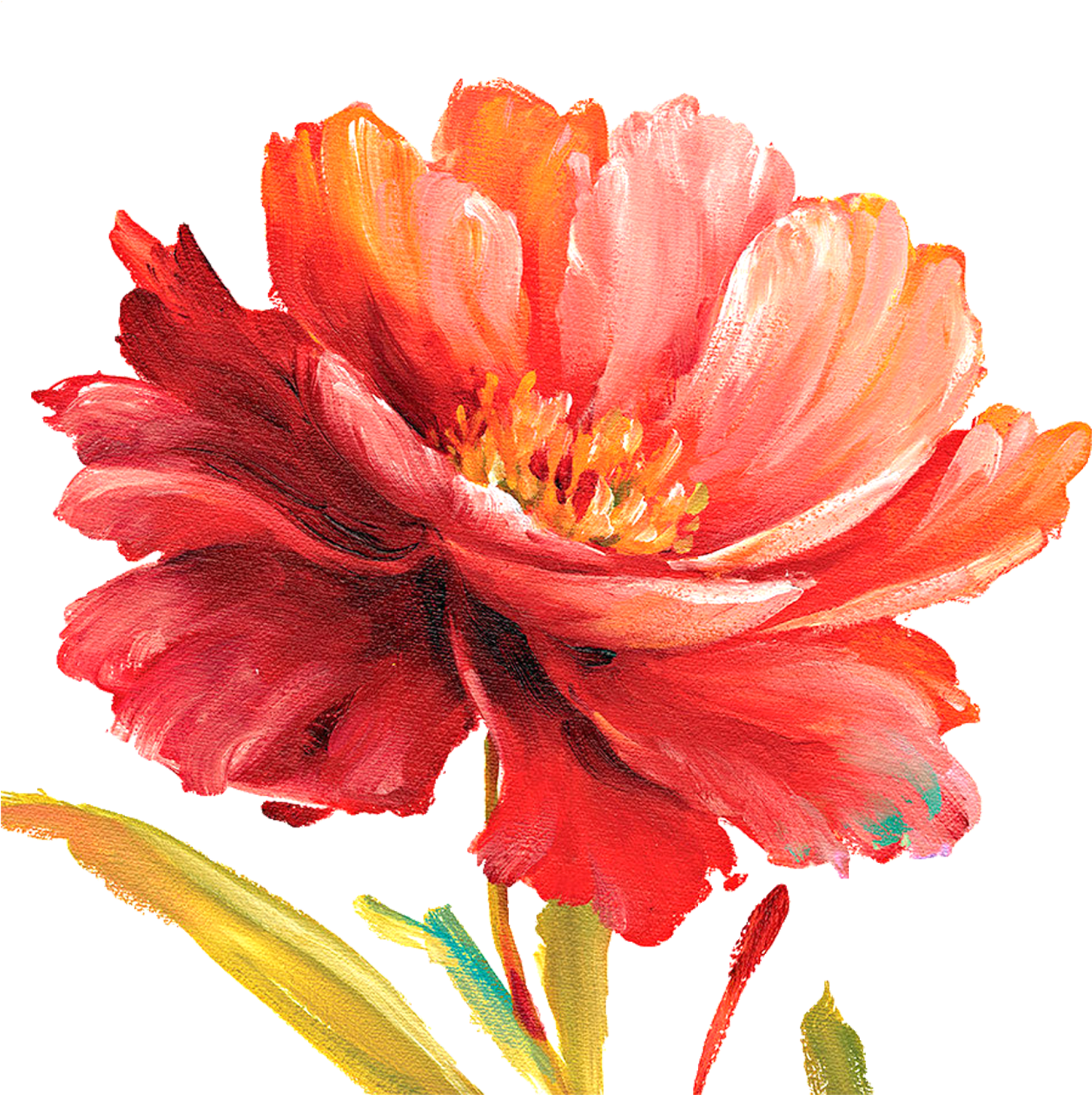 Orange Flower Paint Png (1600x1600), Png Download