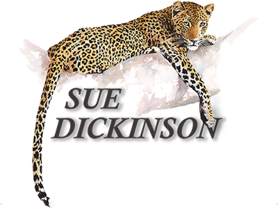 Sa Artist Wildlife (400x300), Png Download