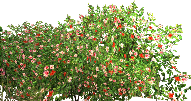 Garden Free Png Image - Garden Png (639x388), Png Download