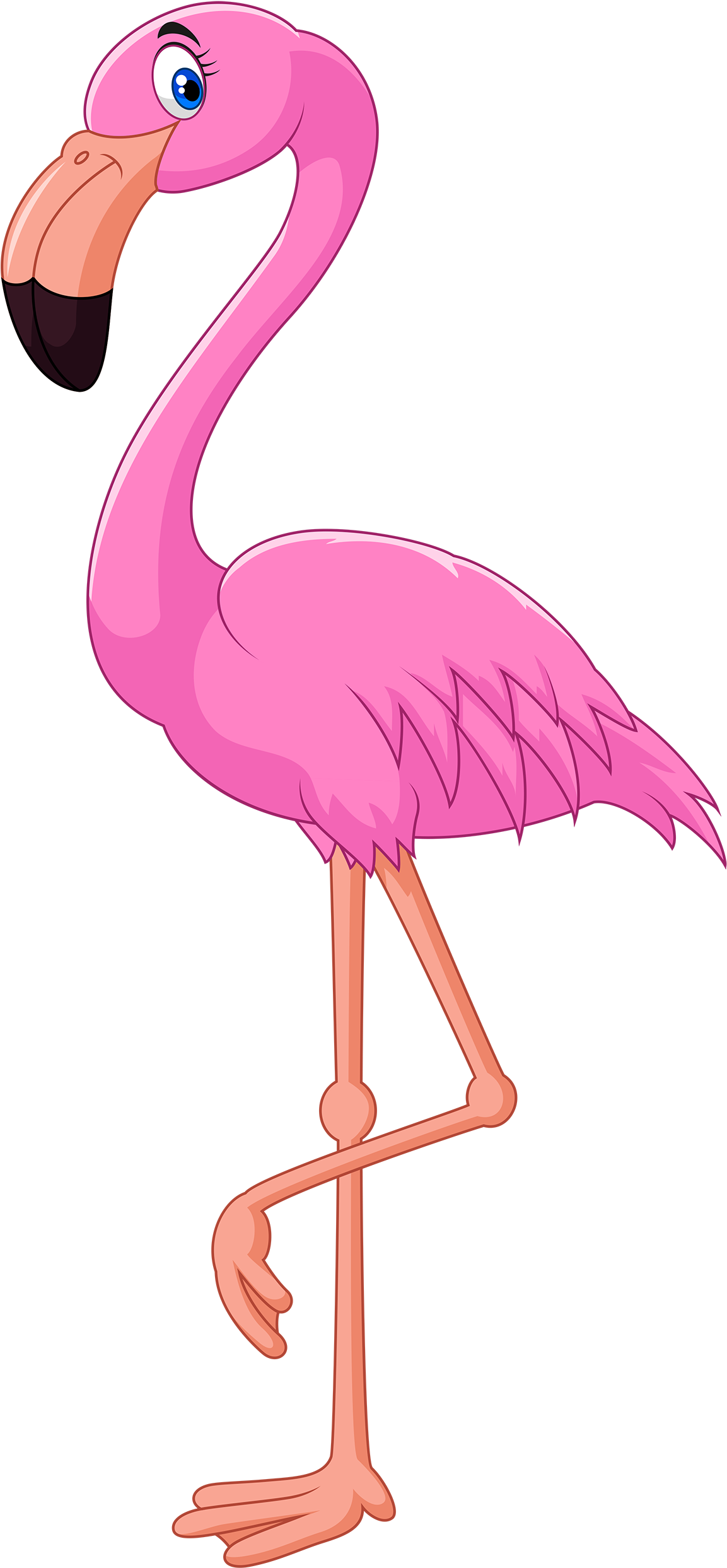 Pink Flamingo Png Clipart - Flamingo Clipart (1165x2500), Png Download