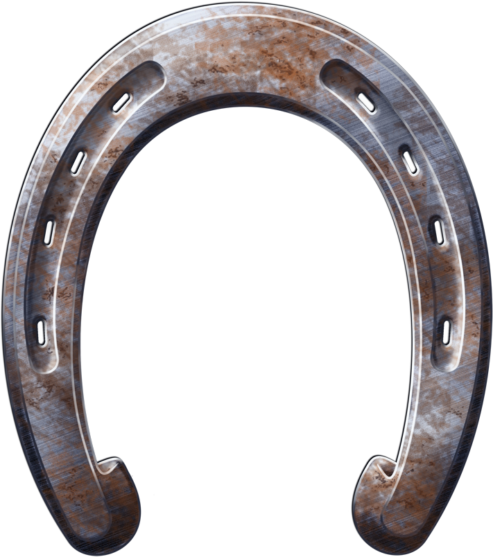 Horseshoe Png (800x819), Png Download