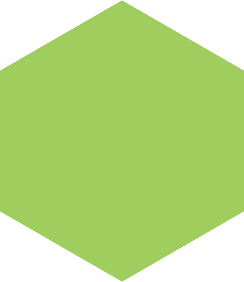 Green Hexagon Png - Hexagon Shape Green Png (800x925), Png Download