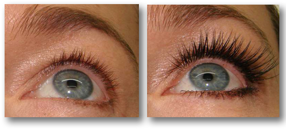 Eyelashes - Eyelash Extensions (563x282), Png Download