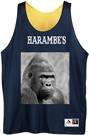 Reversible Basketball Jersey - Basketball Uniform (450x450), Png Download