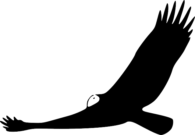 Animals, Turkey, Silhouette, Cartoon, Birds, Flying - Vulture Clip Art (640x443), Png Download