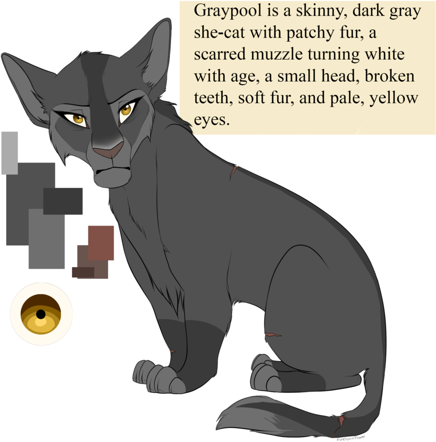Graypool By Purespiritflower - Gray She Cat Warriors (894x894), Png Download