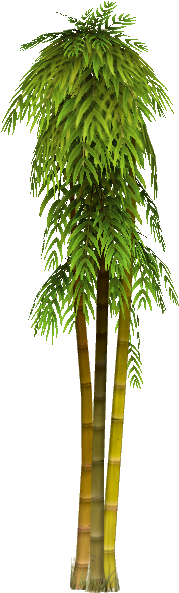 Tall Bamboo 2 - Wiki (595x595), Png Download