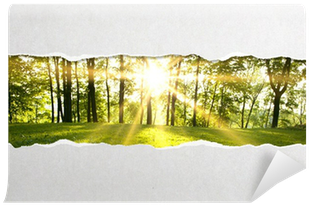 Poster: G Peshkova's Spring Forest, 24x16in. (400x400), Png Download