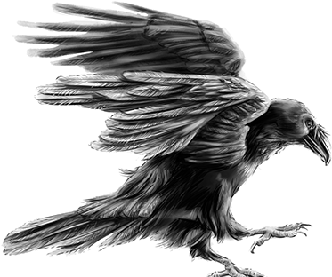 Nps Ravens - Raven (404x316), Png Download
