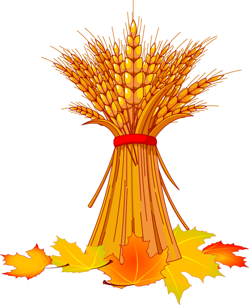 Free Pictures Of Autumn Leaves - Fall Clip Art (490x600), Png Download