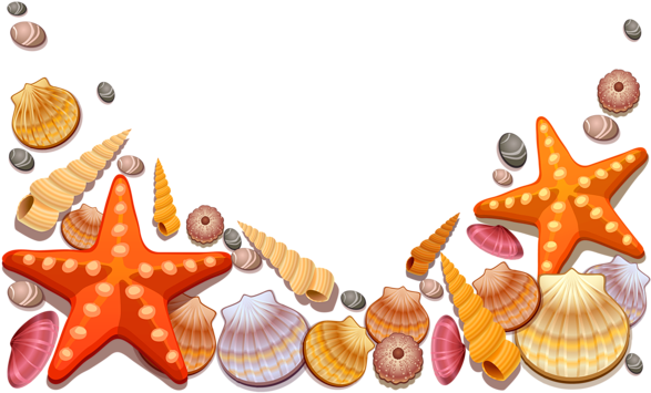 Beach Clipart Seashell - Sea Shells Shower Curtain (600x374), Png Download