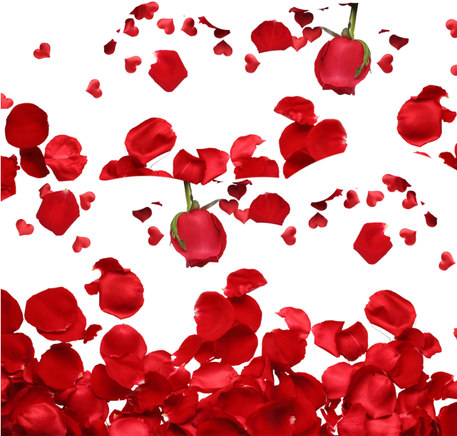 Red Rose Petals, Rose, Rose Petal, Roses Png And Psd - Canvas Wall Art 3d Rose Printed Function Stick-on Wall (640x640), Png Download