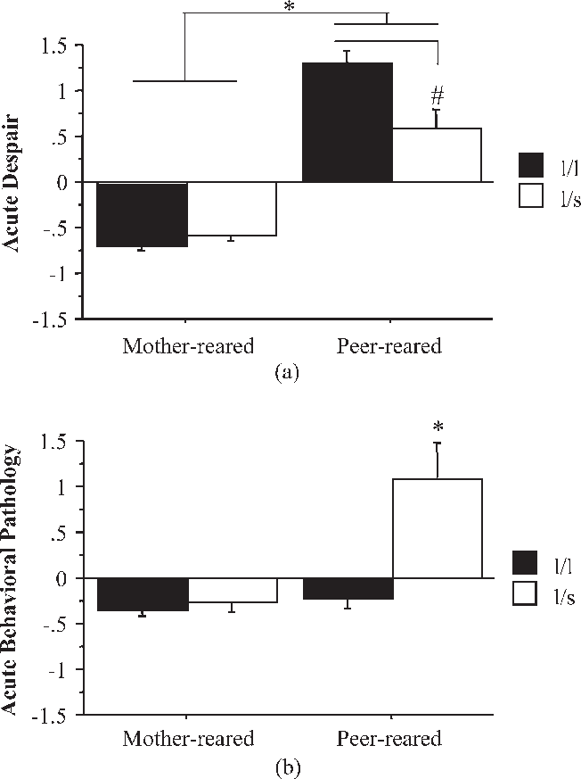 Reared Monkeys During The Acute Behavioral Response - Mother (652x873), Png Download