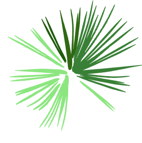 Explosion - Saw Palmetto (1920x1080), Png Download