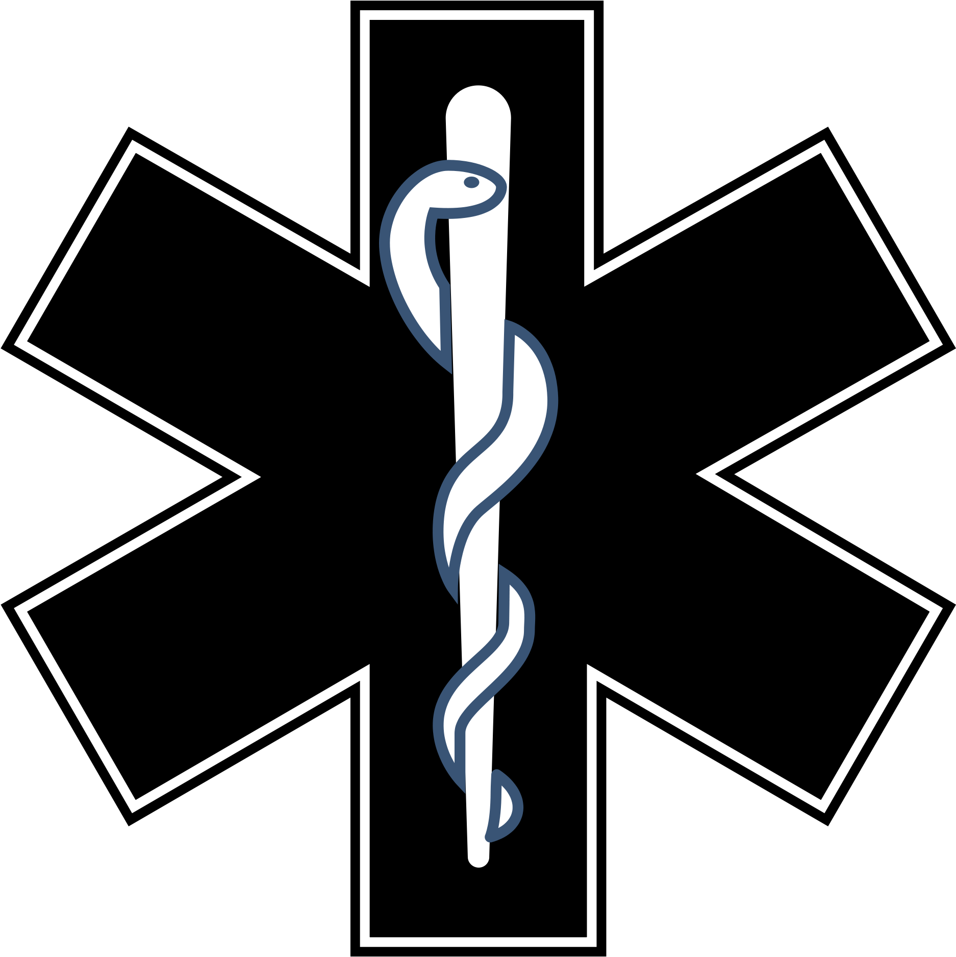 Gatunek Leczniczy Black And White - Star Of Life (2000x2000), Png Download