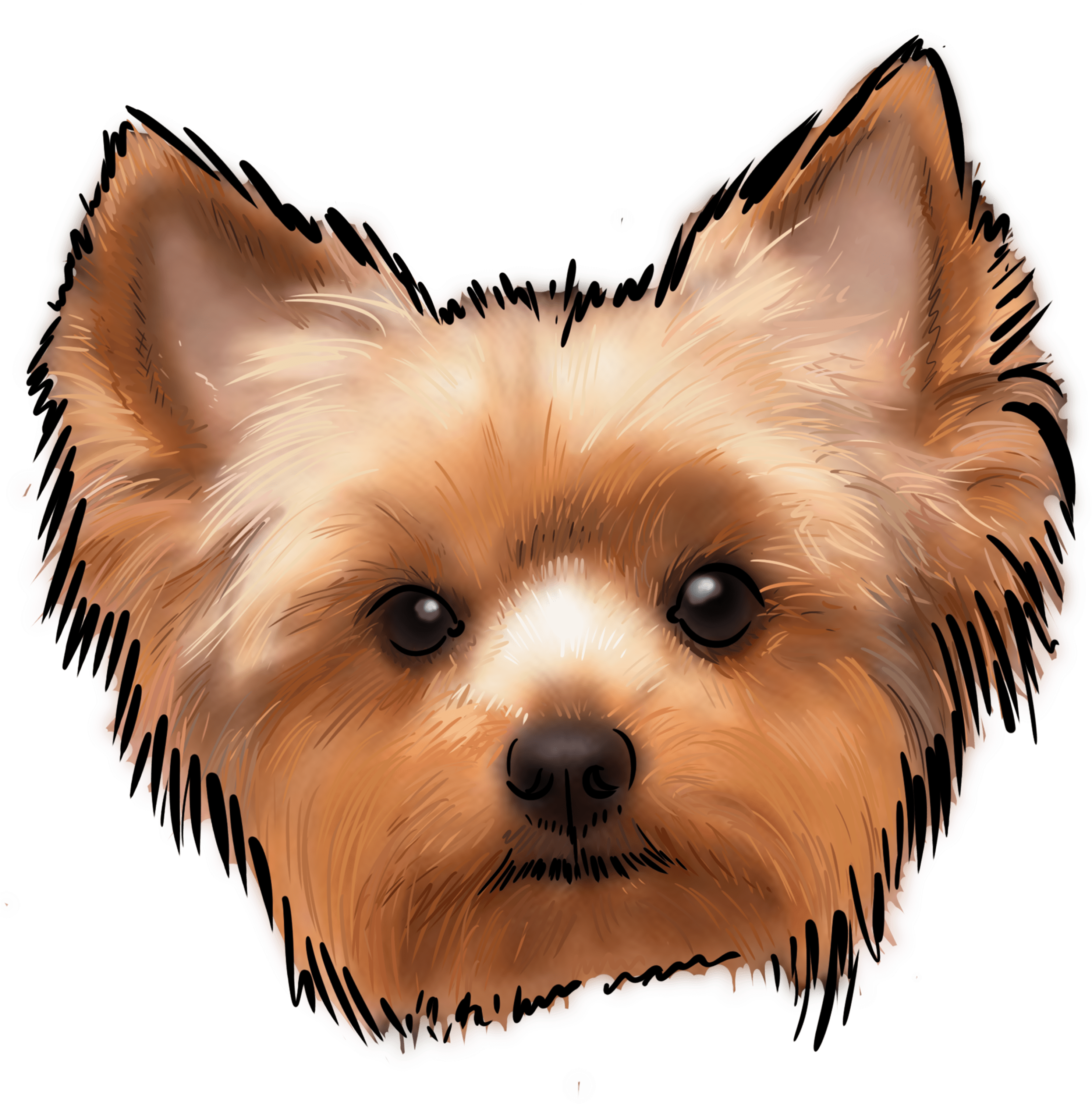 The Yorkshire Terrier, Or The Yorkie, May Be One Of - Yorkshire Terrier (3000x3000), Png Download