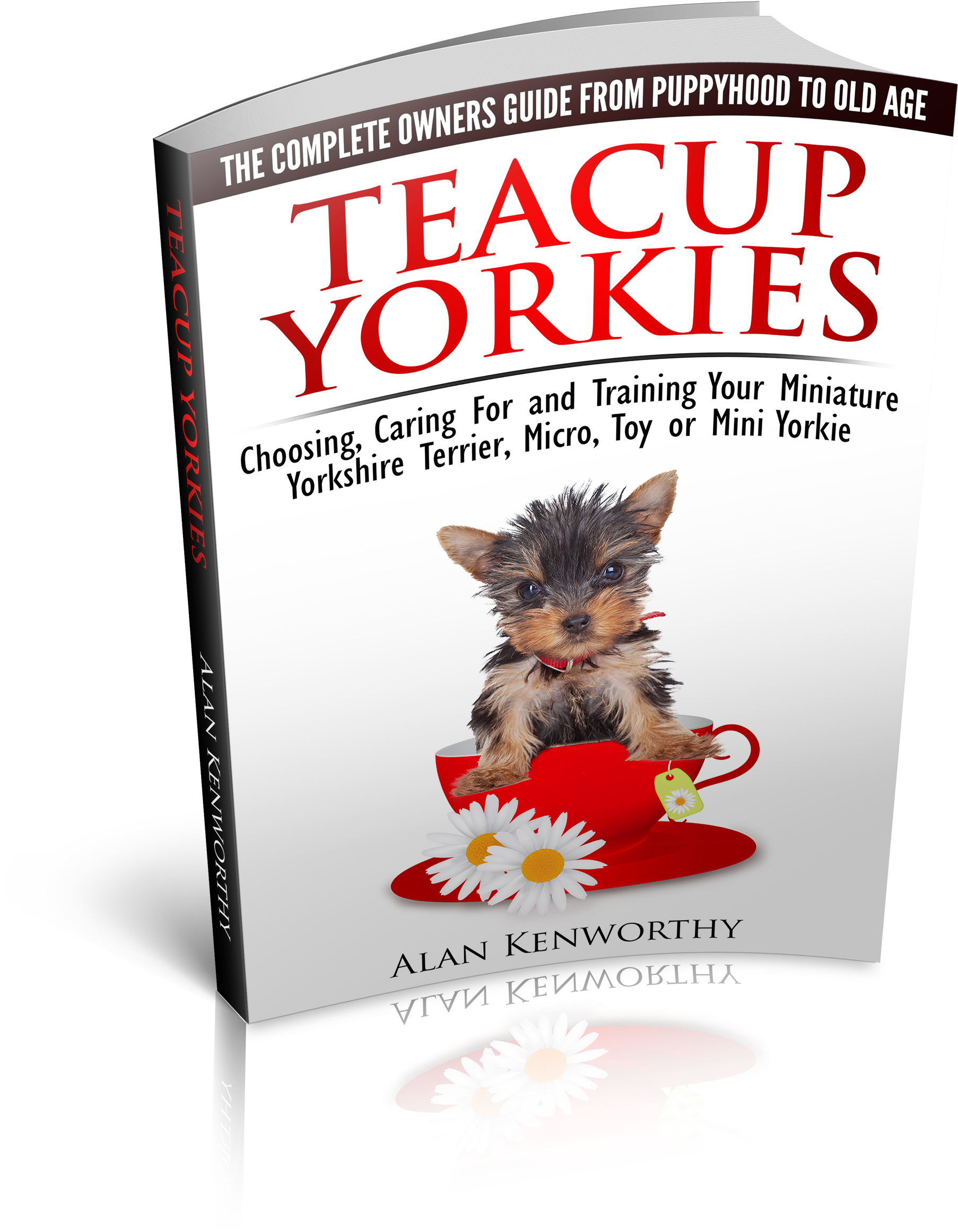 Teacup Yorkie Book Cover - Teacup Yorkies - The Complete Owners Guide. Choosing, (2230x2500), Png Download