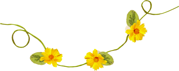Visit - Sunflower (600x240), Png Download