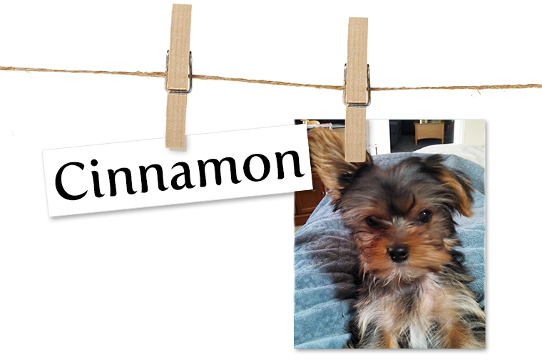 You Need To Stop Misspelling (760x507), Png Download