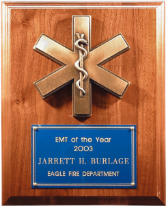 Star Of Life Logo With Design (700x300), Png Download