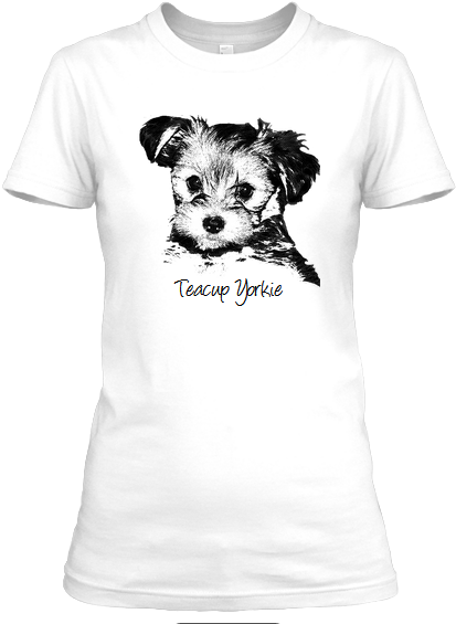 My Teacup Yorkie Teacup Yorkie - Artisan (455x567), Png Download