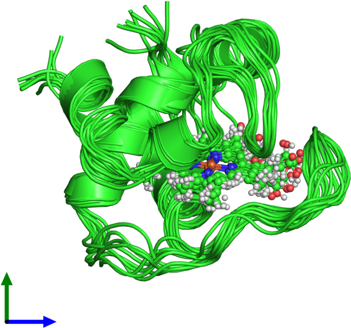 Pdb 2pac Coloured By Chain And Viewed From The Front - Graphic Design (800x800), Png Download