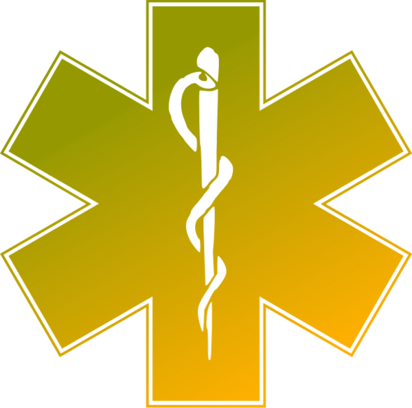 Star Of Life Clipart - Emergency Medical Service Logo (600x594), Png Download